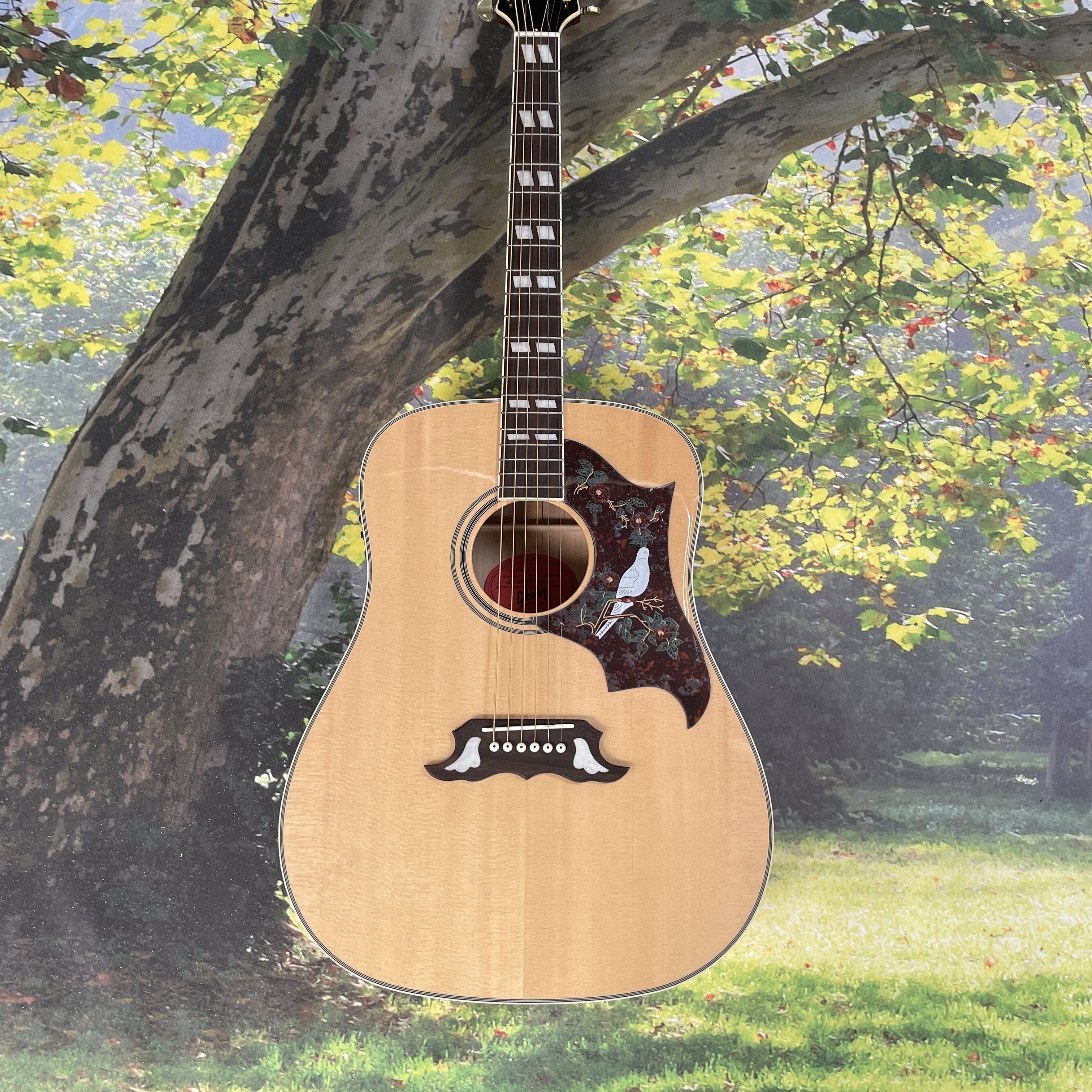 Musical Instrument For Beginners - Hummingbird Dove Original Folk Studio Acoustic