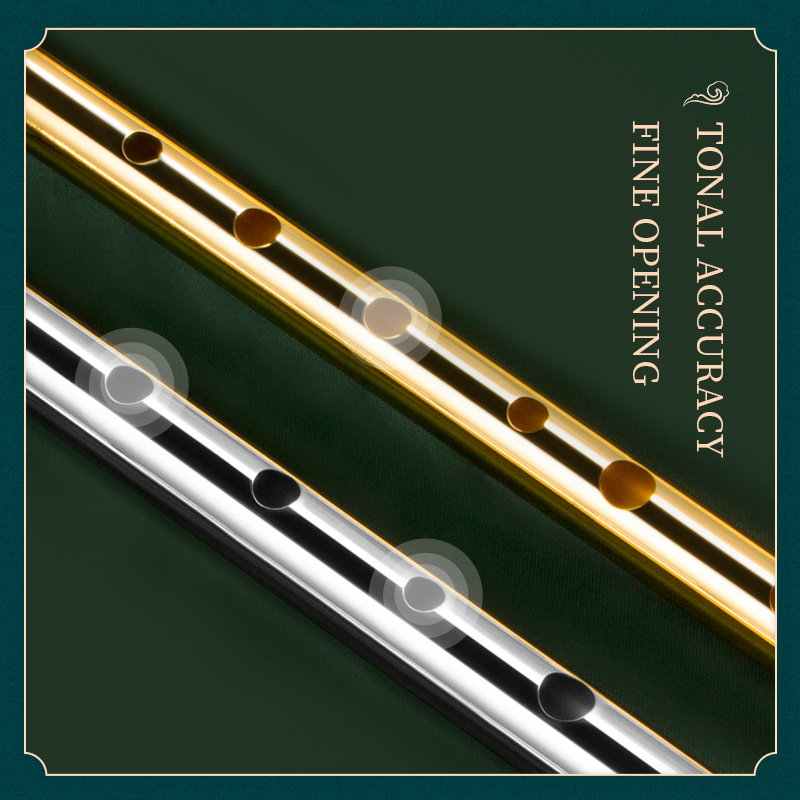Irish Whistle Flute for Musica - مراجعة Tin Whistle Flute وسعره