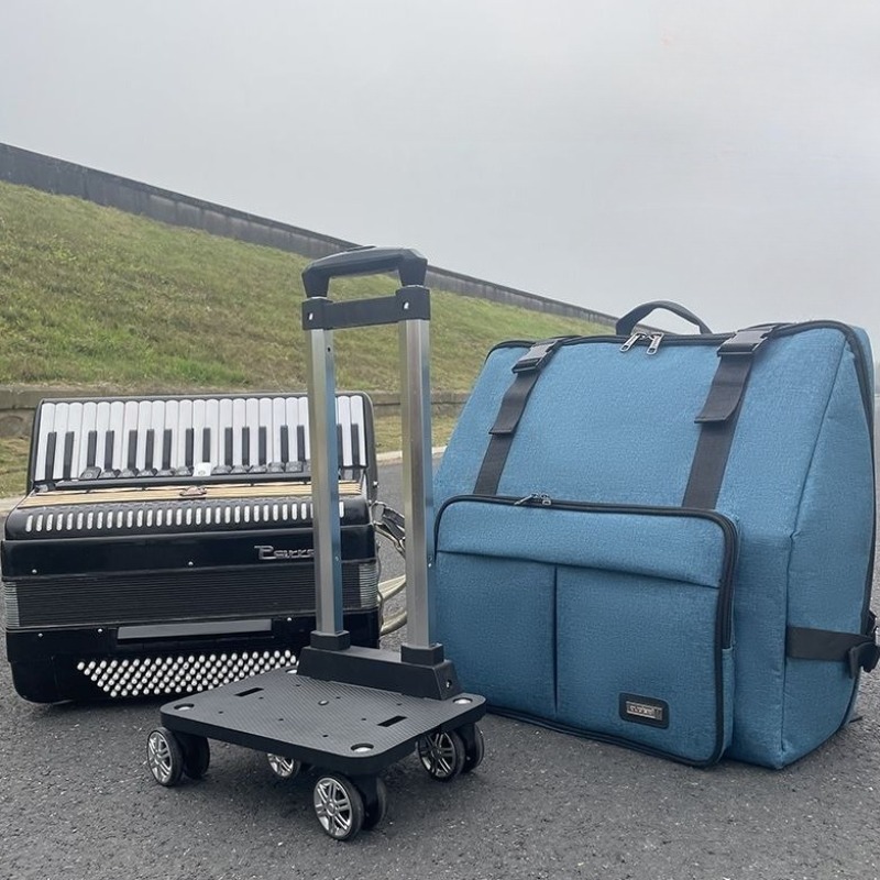 60/96/120 Thicken Accordion Ba - مراجعة Musical Instrument Bag وسعره