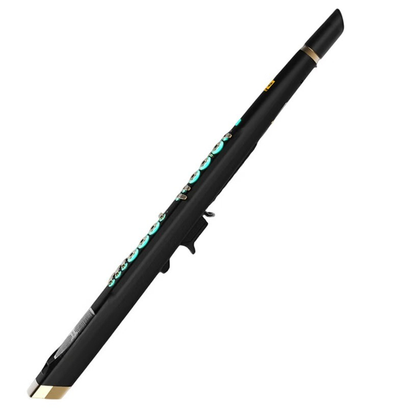 C20 true sampling domestic hig - مراجعة Musical Instrument That You Blow Into وسعره
