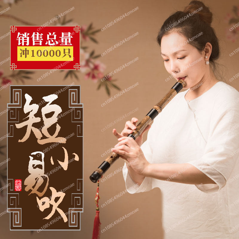Professional play hole flute o - مراجعة Musical Instrument That You Blow Into وسعره