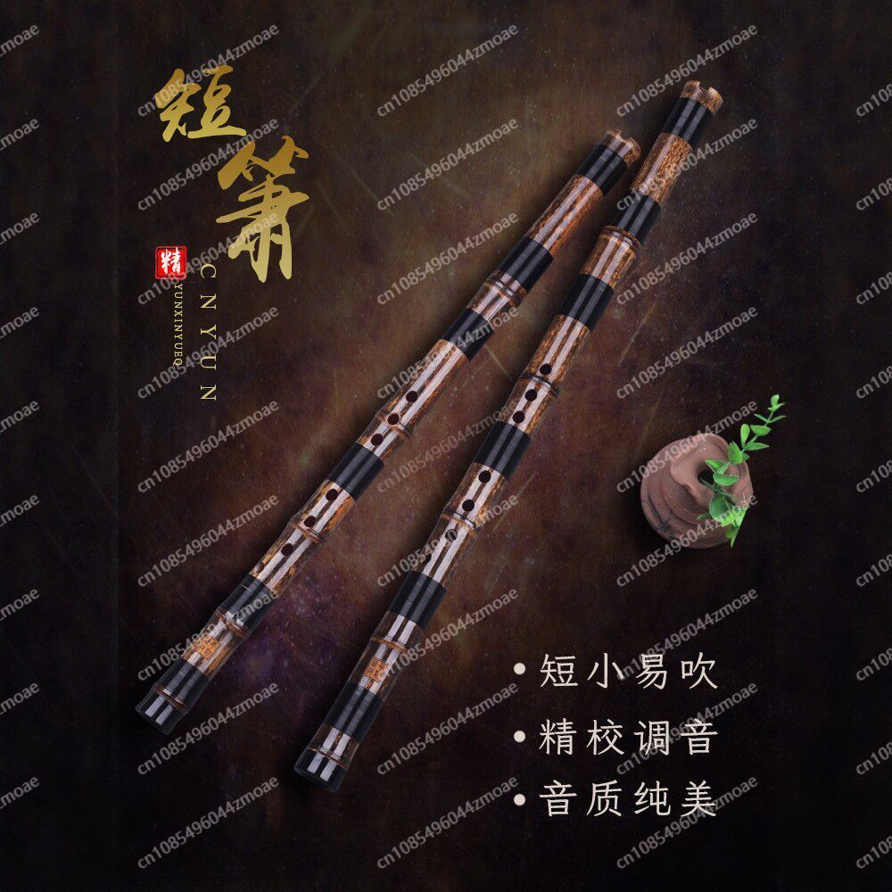 Professional play hole flute o - مراجعة Musical Instrument That You Blow Into وسعره