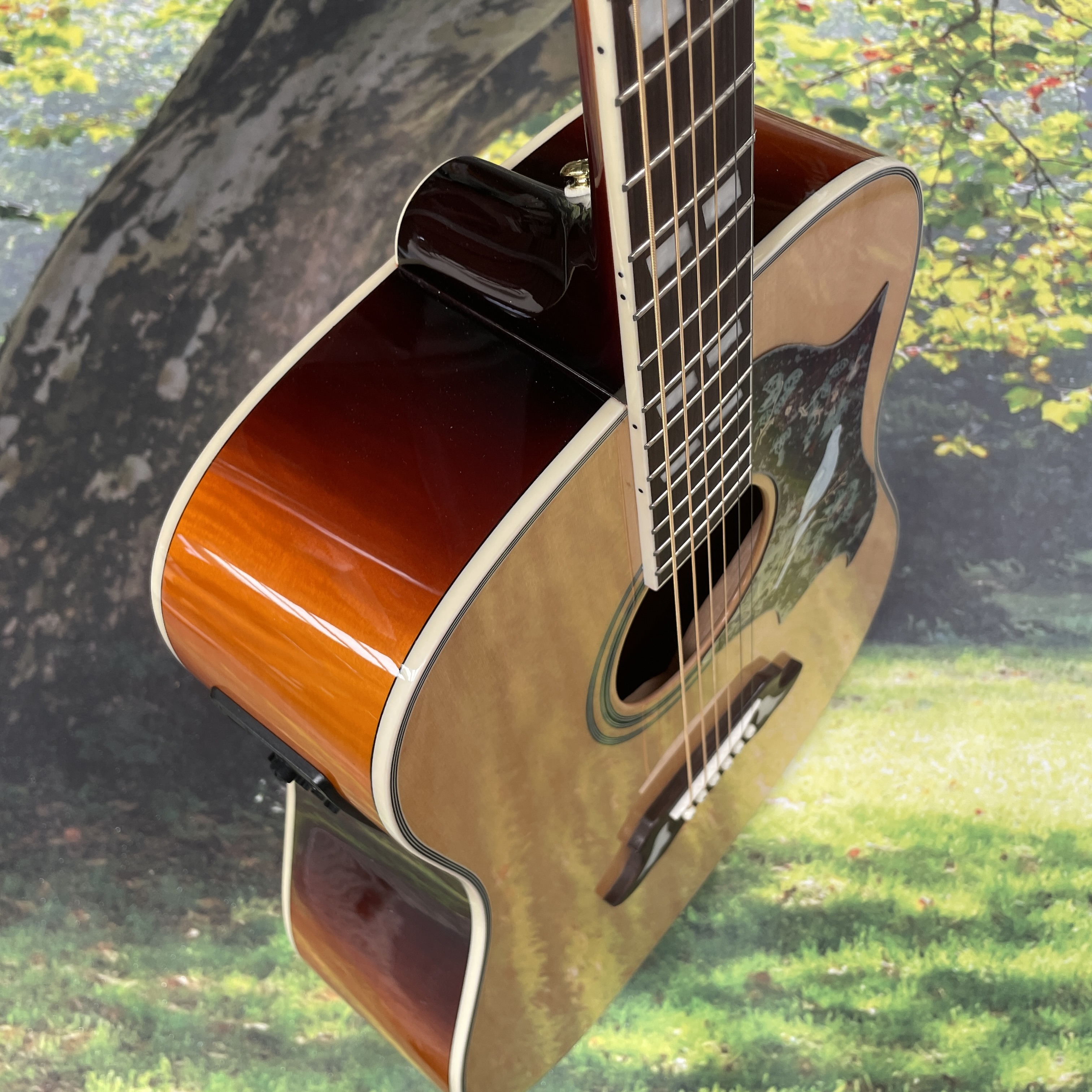 Hummingbird Dove Original Folk - مراجعة Musical Instrument For Beginners وسعره