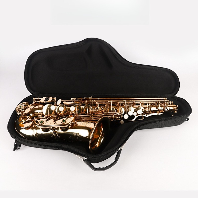 Oxford Cloth Alto Saxophone Ba - مراجعة Musical Instrument Bag وسعره