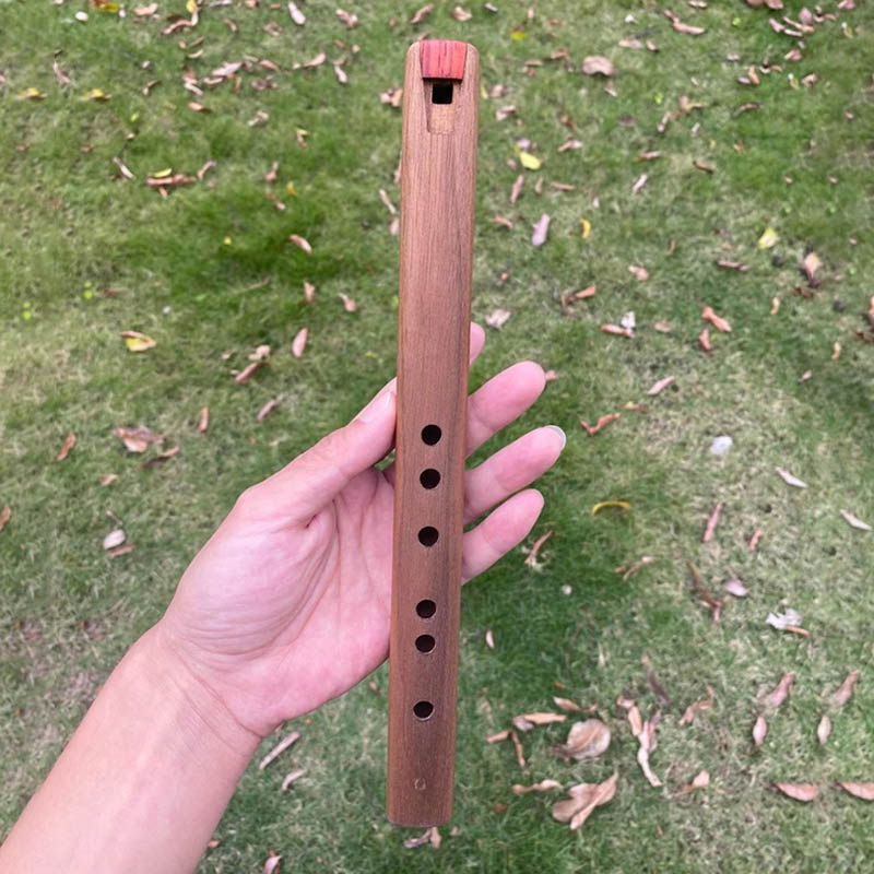 6 Holes Short Flute G Key Wood - مراجعة Tin Whistle Flute وسعره