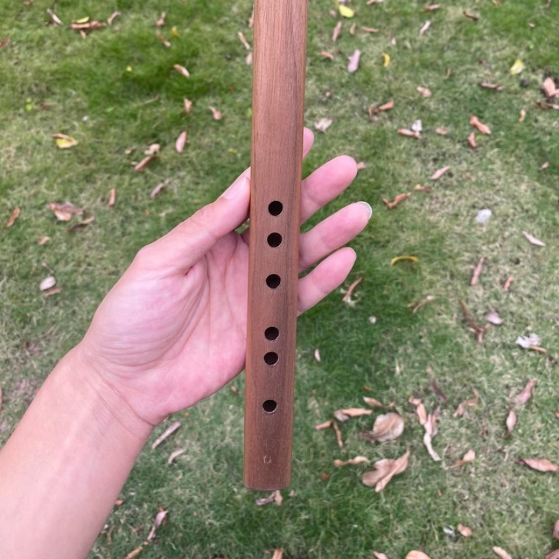 6 Holes Short Flute G Key Wood - مراجعة Tin Whistle Flute وسعره