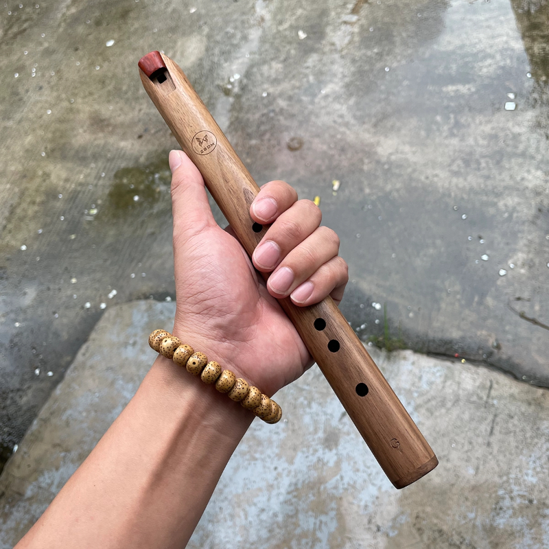 6 Holes Short Flute G Key Wood - مراجعة Tin Whistle Flute وسعره
