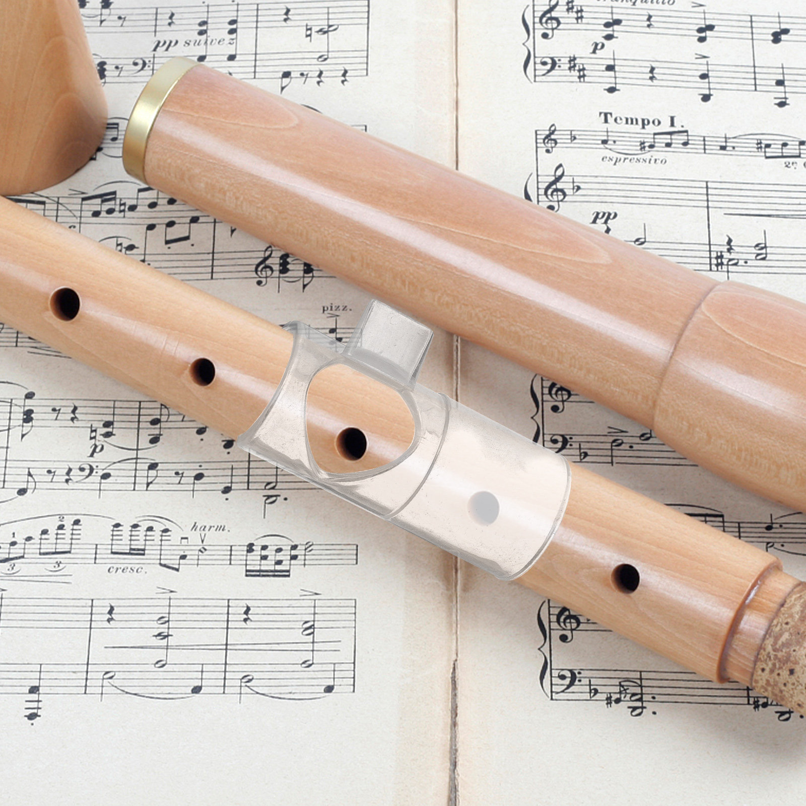 Flute Blow Aid Mouthpieces for - مراجعة Musical Instrument That You Blow Into وسعره
