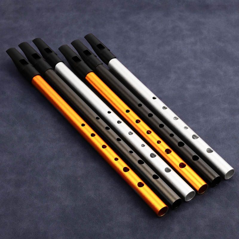 6 Hole Penny Whistle Student P - مراجعة Tin Whistle Flute وسعره